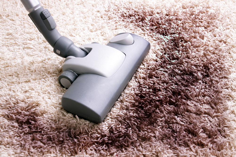 Vacuuming,Very,Dirty,White,Carpet