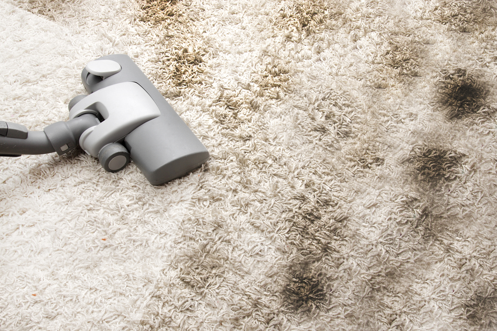 Vacuuming,Very,Dirty,Carpet,In,House