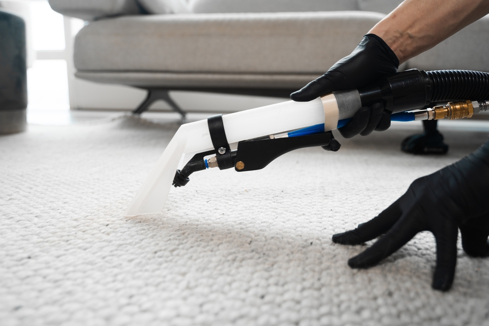 Extractor,Washing,Of,Carpet.,Cleaner,Is,Using,Extractor,To,Clean