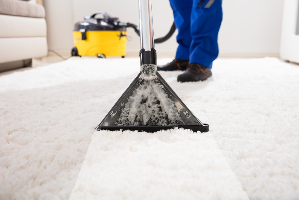 Close-up of a janitor carpet cleaning with vacuum cleaner